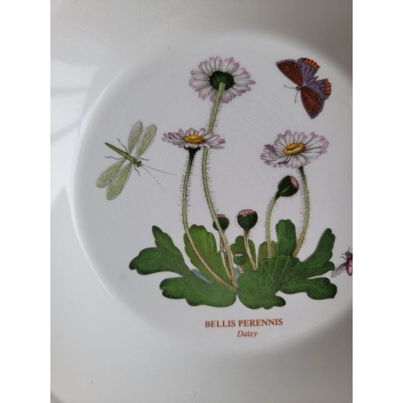 Portmeirion Botanic Gardens AS IS Daisy 8" soup salad bowl - Picture 4 of 9